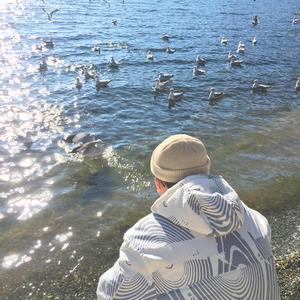 日本护士喂老头奶
