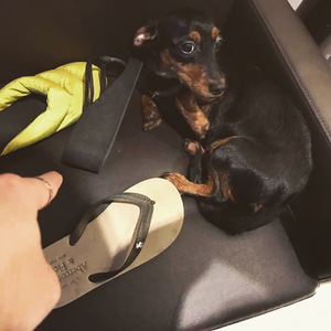 日本护士喂老头奶
