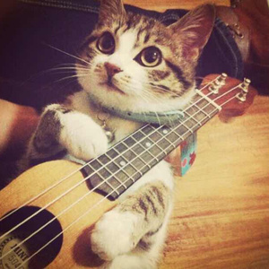 日本护士喂老头奶
